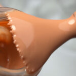 BLUESKY TRAJNI LAK COCOA 10ML - Image 2