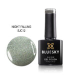 BLUESKY NIGHT FALLING CAT EYE TRAJNI LAK 10ML