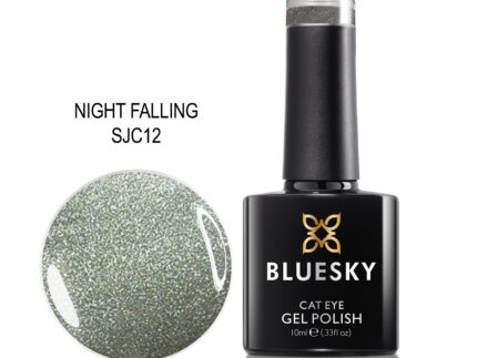 BLUESKY NIGHT FALLING CAT EYE TRAJNI LAK 10ML